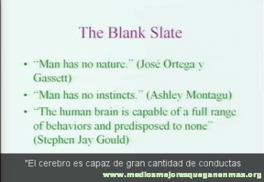 Steven Pinker lo atribuye a la tabla rasa